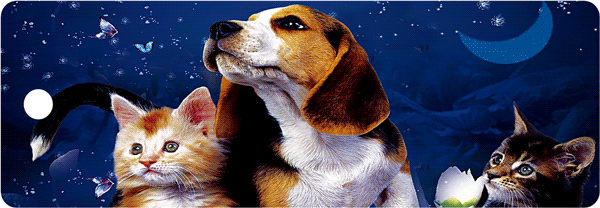 a8e305e432dd0be4e8c727e1c3195f