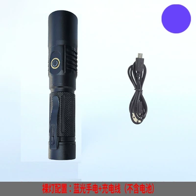 UV fənərlər, Green Light Flashlight for Dust Detection - 5050-blue-light-bare-lamp-battery-not-included