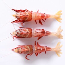 �u���r 225g/��  ���^�r���r���r ���r ���rˮ�a ���r