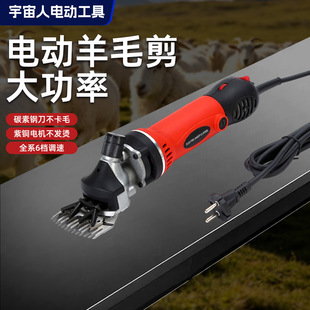 �羳늄Ӽ���������ë������ë�C�������ë����늄�����늼���