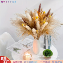 ���m�ɻ��JȔ�����b����l��β������˹���R�d�������ldiy����