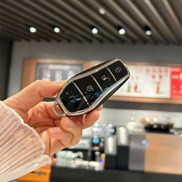 BYD C black single shell