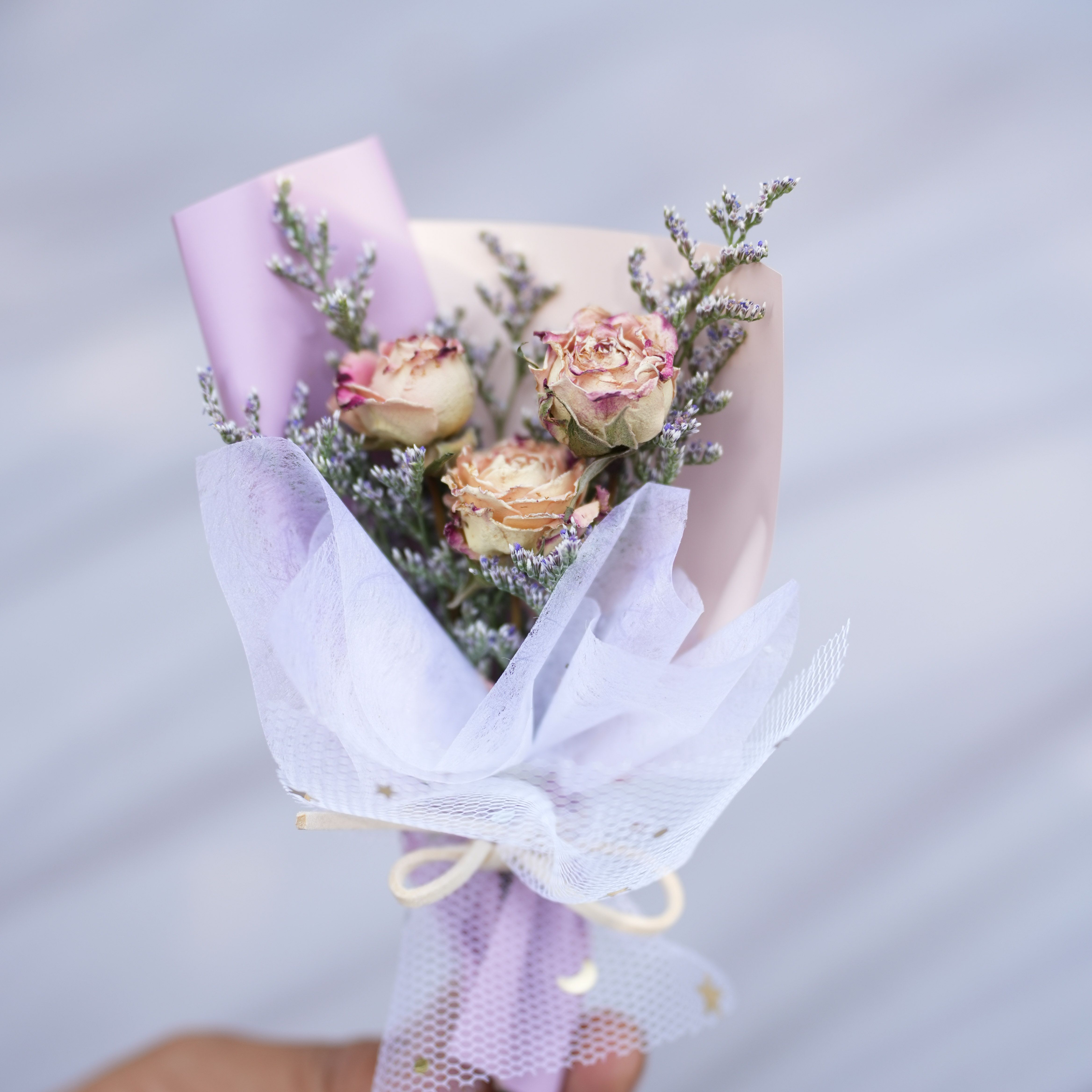 ins 미니 굴절 장미