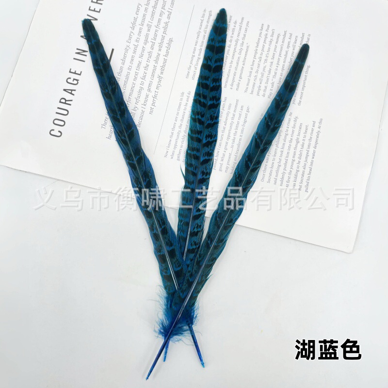 染色彩色羽毛母山鸡尾野鸡毛DIY手工制作婚庆舞台材料服饰配件|undefined