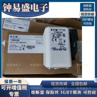 Fuse 170 M3 392 170 M3393 Basman Bussmann series high-speed square fuse
