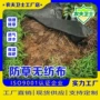 果园生态除草无纺布果树