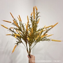 ��Ʒ�|�L֦���K����β�����z�ٻ���c���üҾ��b�����ɫ��β��