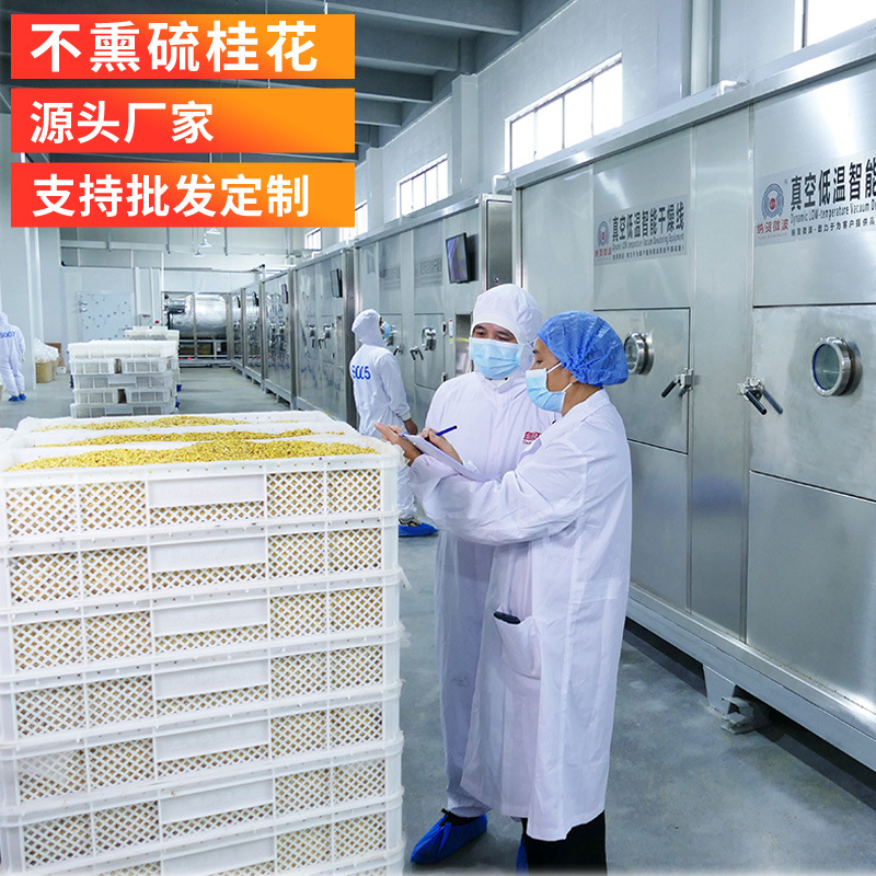 批发定制 源头厂家桂林桂花干金桂花广西特产食用级桂花干桂花茶