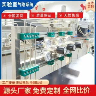 哇噢 实验室集中供气 气体管路配件 不锈钢减压器钢瓶 实验室气路