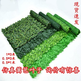 ����Gֲ�~�ӻh�ʾW������~�̨ͥԺ�ř��ړ��G�~�b��ٗl��ֲ��