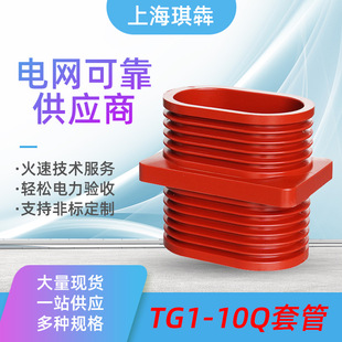 TG1-10Q/210.180.250.252���ĸ�������׹�125*125�߉��h�W��12KV