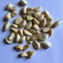 ͜ը VF VF  ͜ը ͜ը