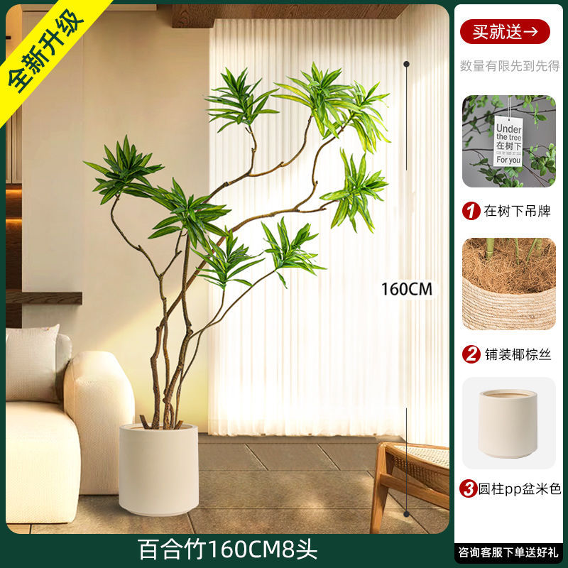 [W Ruyi Bamboo] Lưu vực sâu và cao 160CM8
