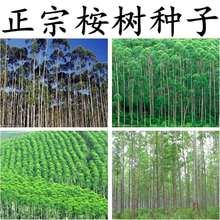 ���N��β�~�����{��������Ĵ�������С�~���������V�־ŷN��