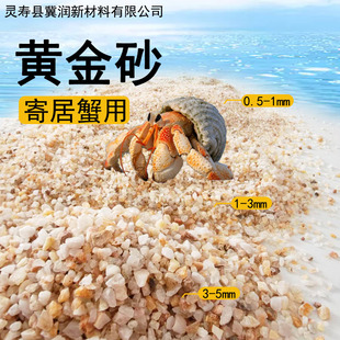 ��ɳ�S��ɰ�ľ�зɳ�з��ɳʯ����䁵���ɳ�~�׵�ɰ�V�ɰ