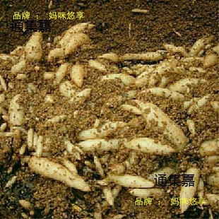 �N�����r�绨����N�҃�����0����߮a���N�F�ڷNֲҰ������