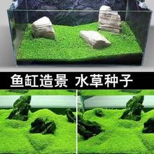 水草泥鱼缸造景套餐草缸底砂散装沙陶粒营养净水种植水土草种子