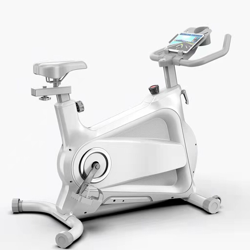 Factory Direct Super Quiet Intelligent Spinning Bicycle Home Indoor Exercise Bike Lazy Slimming Bike