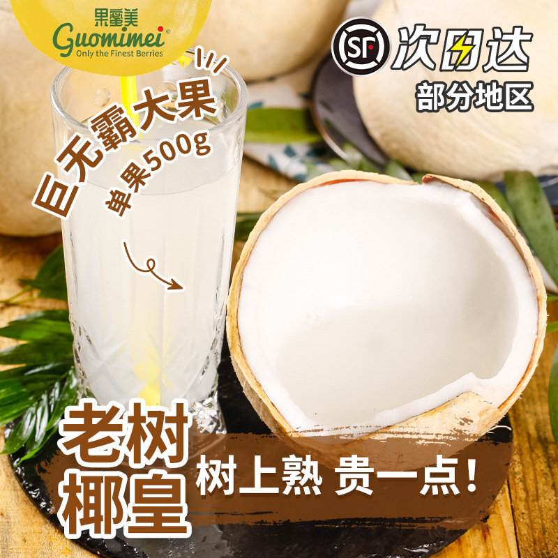 Thai Milk Coconut King Coconut Meat Fresh Milk Coconut 6 Fruits Whole Box Seasonal Pregnant 10 Fresh Picked Young Coconut Coconut Treasure