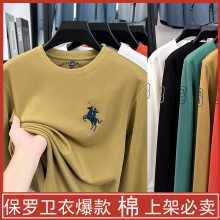 品牌秋季重磅棉质刺绣圆领男卫衣小马标绣花长袖T恤中年休闲体恤