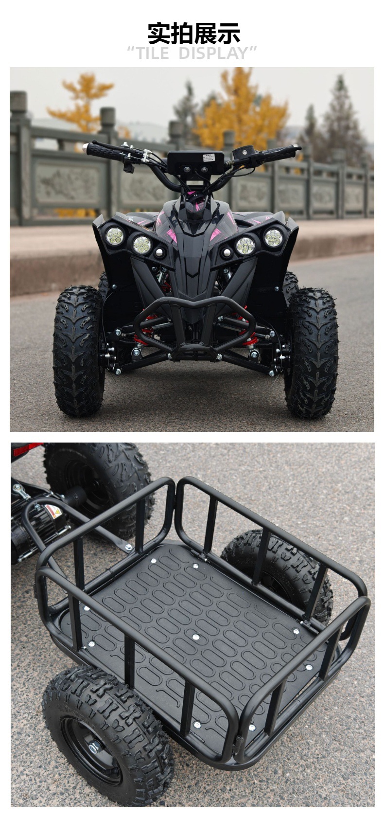 Small Overlord ATV Beach Motorcycle All-Terrain Vehicle Electric Scooter