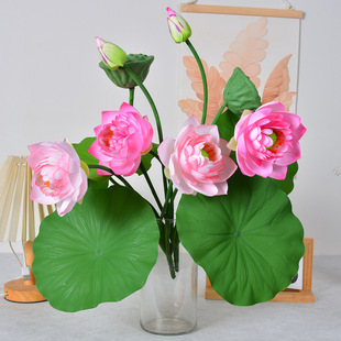 7�^��ɻ� ����Gֲ�҃��b廨�[�� ���û�ˇ�ҾӾGֲ�������l