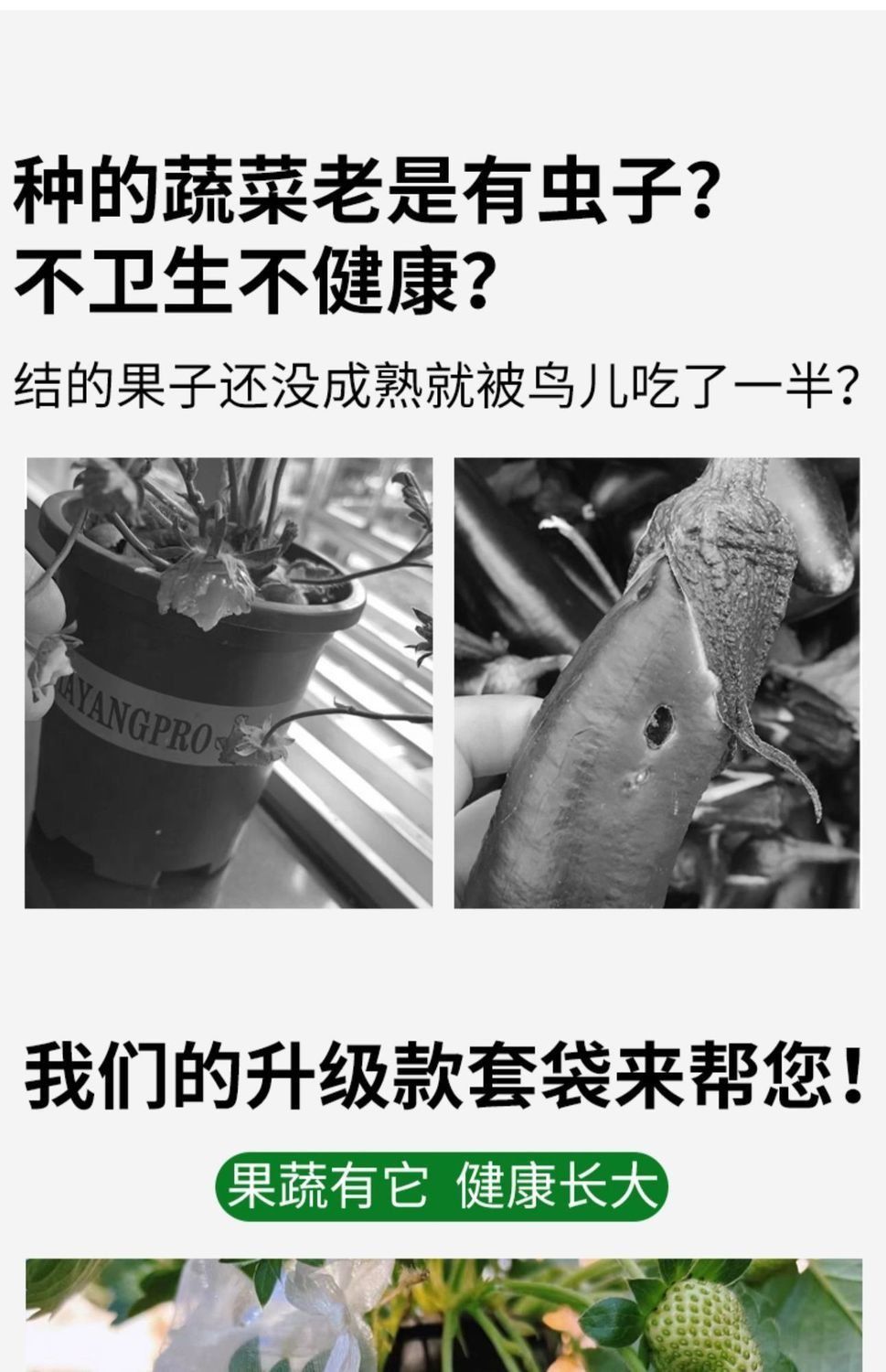 85fc44ac-0767-4862-b314-446d01a8d843.jpe