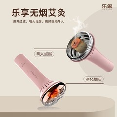 工場直販美顔器火災無煙灸振動マッサージ導入器家庭用ポータブル温灸器ポータブル