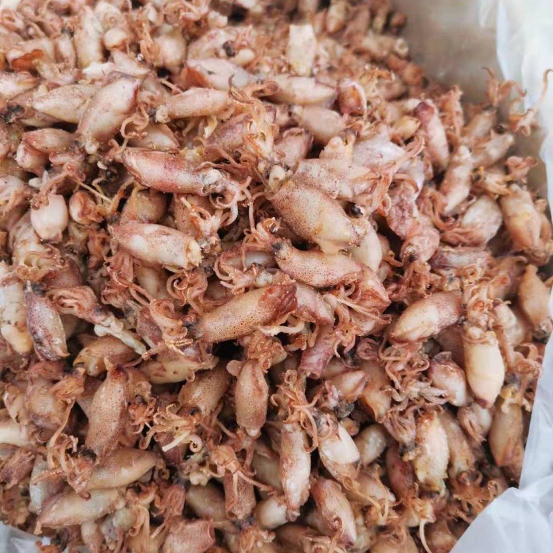 海兔干中号新鲜小海兔乌仔乌子墨鱼鱿鱼乌贼无籽海鲜干货子乌500g