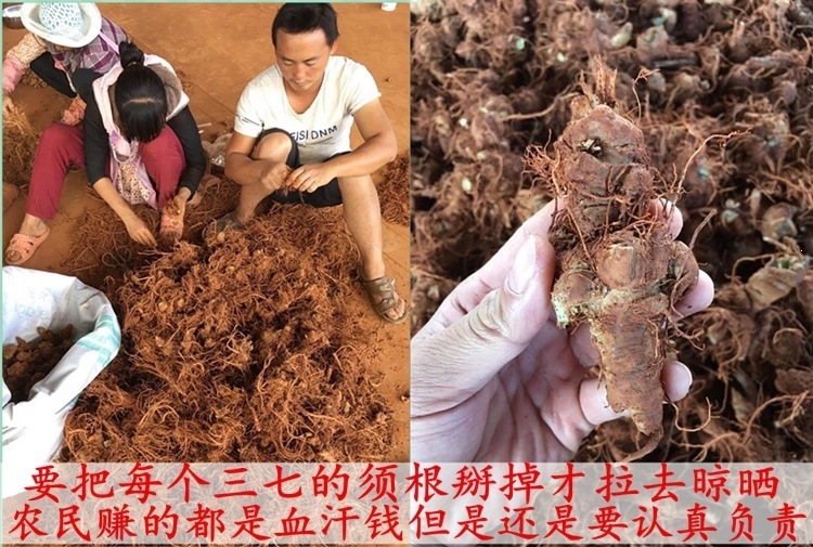 Yunnan Wenshan Sanqi Sliced Notoginseng Tianqi Root Pieces 20 30 Head Dried Cut Slices Can Be Ground to Powder preparation