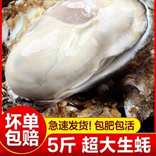 5����ɽ����r�����r�ش�Ϡ�Ӻ��rĵϠˮ�a�����������l2��10��