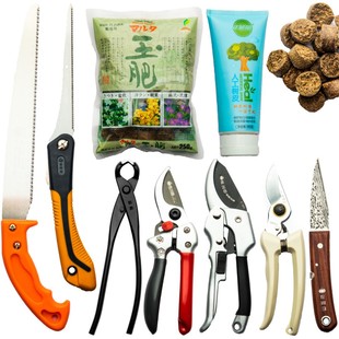 �B�o���ͼ�����֦�������ϼ޽���ӄ�����޼��D�P�辰����