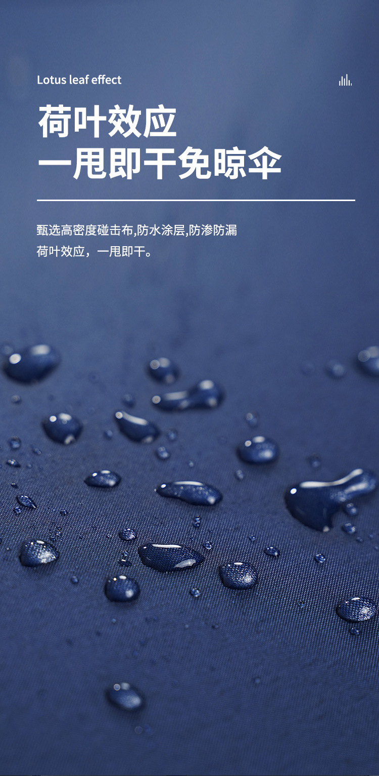 雨伞_10