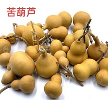 ����J �Ϻ��J �e������J ��� ș�رR �������J С���J