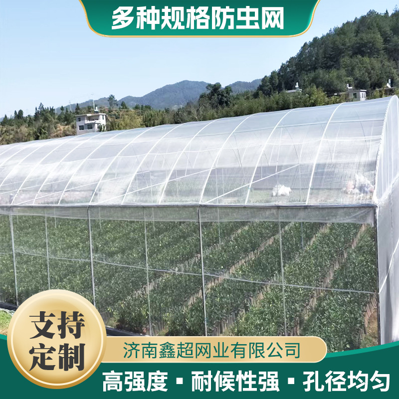 大棚防虫网种菜蔬菜沙网防鸟网布尼龙网罩养殖围网菜园家用室外