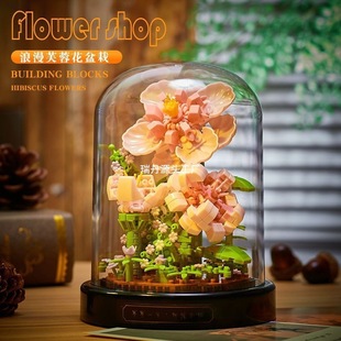 ѹӢݘܽػeľ[ƴbŮնY