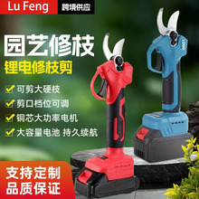 �¿�����֦�����ʽ늄ӈ@�ּ����ñ�y�o����֦��֦�����b���l