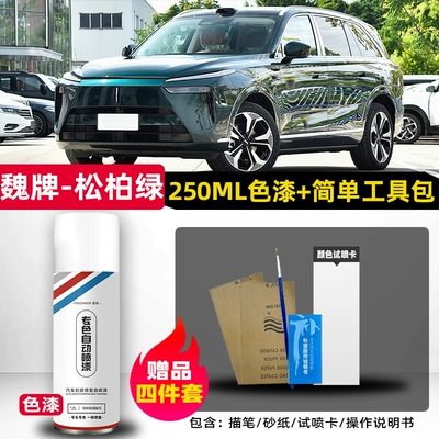 Weipai Lanshan car paint, self-applied spray paint, car paint in pine green and Li River blue, scratch and dent repair paint (Avtomobil boya qələmləri) - wei-brand-blue-mountain-pine-green-single-bottle-spray-paint-includes-brush-sandpaper