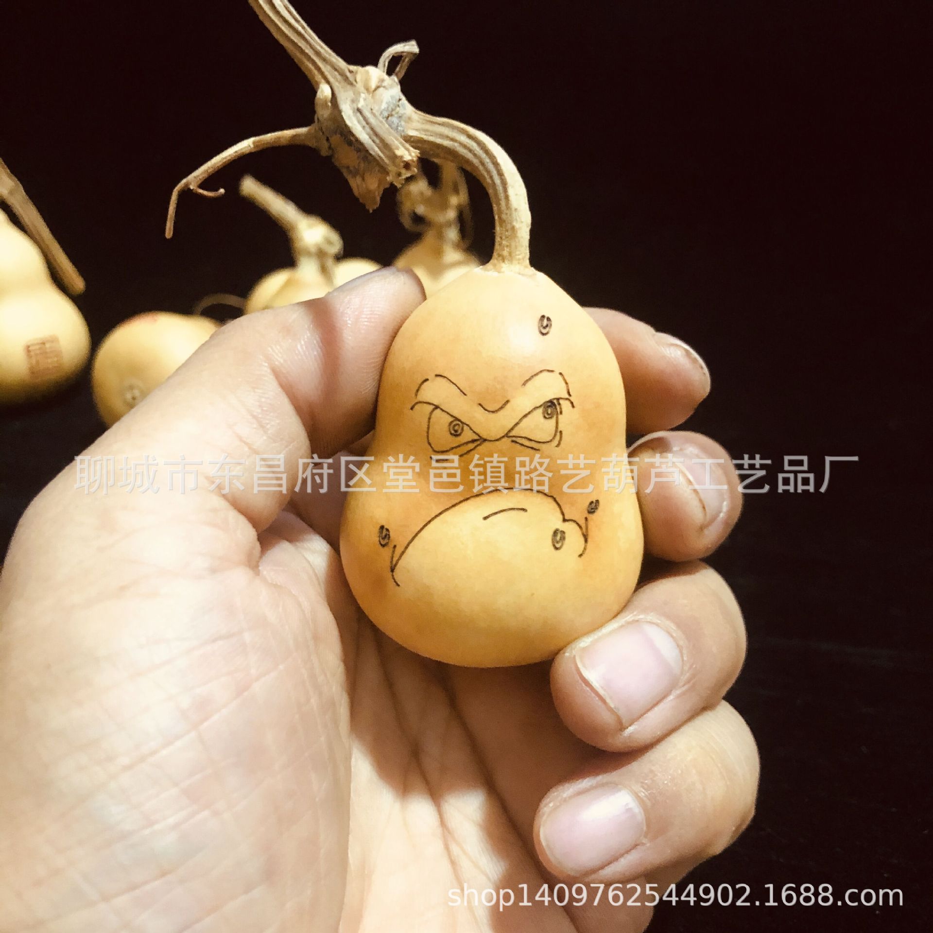 QQ图片20230930182207