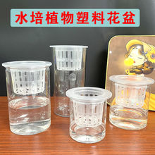 ˮ��N�ӻ�������͸���A���������N�Ӷ���t����ֲ�@�Nֲ�����߲�