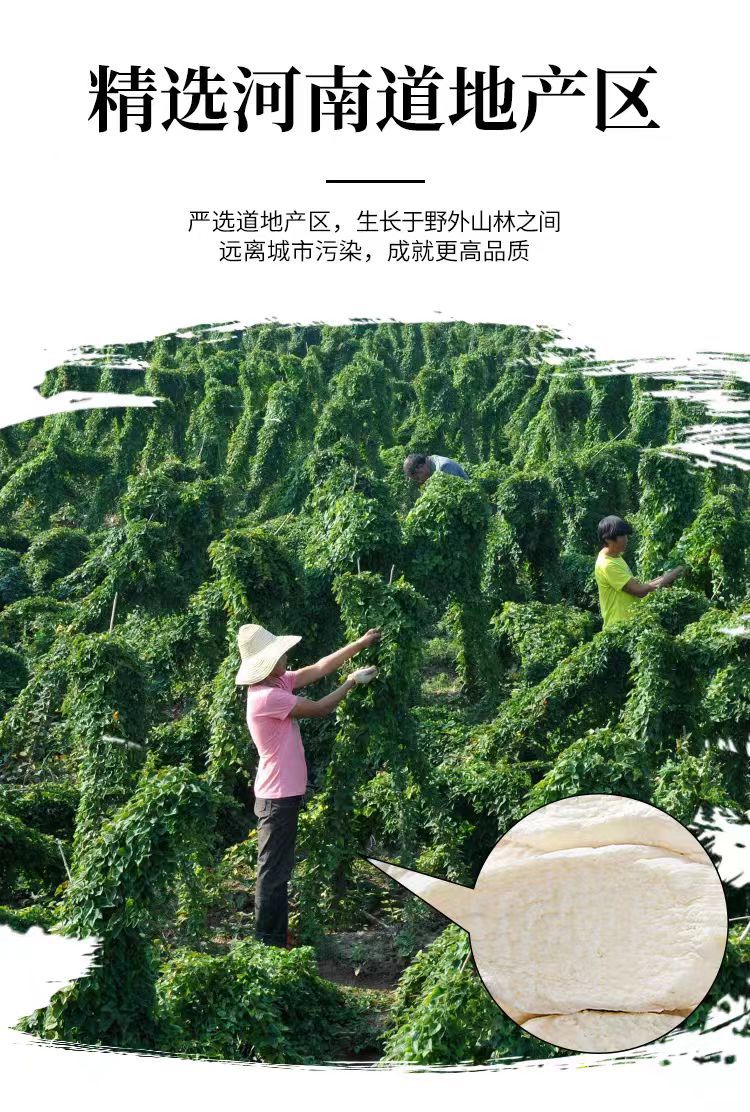 Tie Gun Huai Shan Yao Slices (Dioscorea opposita) — Dried Chinese Yam for Congee & Soup overview