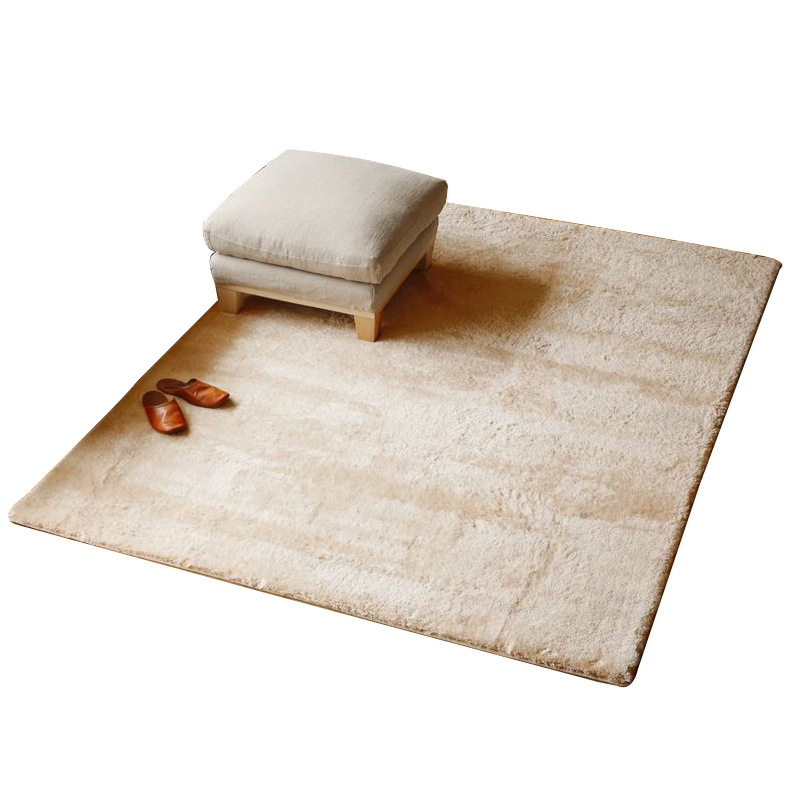 Carpet for Bedroom Bedside, Living Room Coffee Table, Bathroom Absorbent Floor Mat, Home Modern Minimalist Ins Style