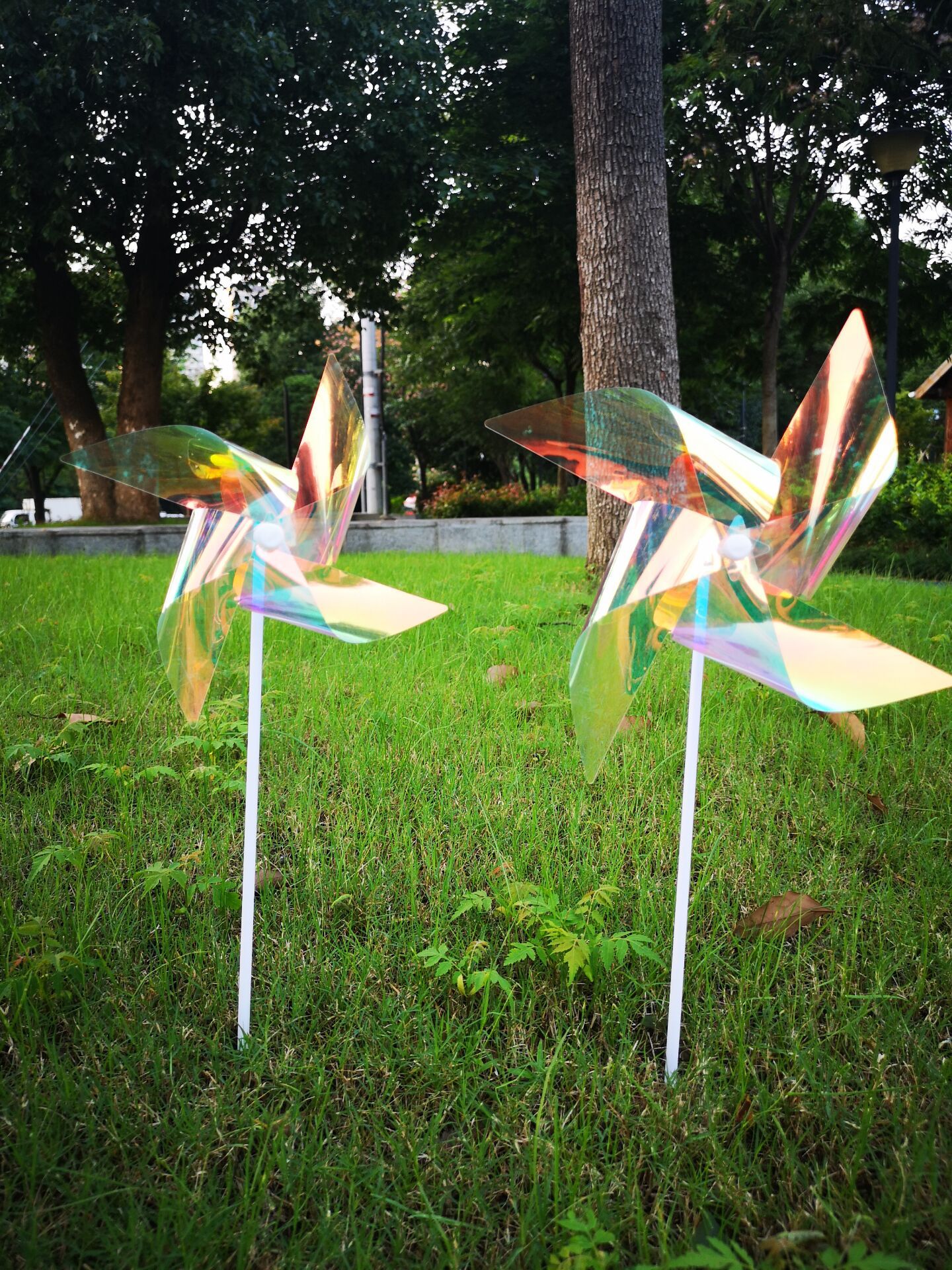 QQ图片20210613113546