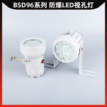 BSD96系列LED防爆视孔灯反应釜防爆视镜灯12V24V36V220V探照灯