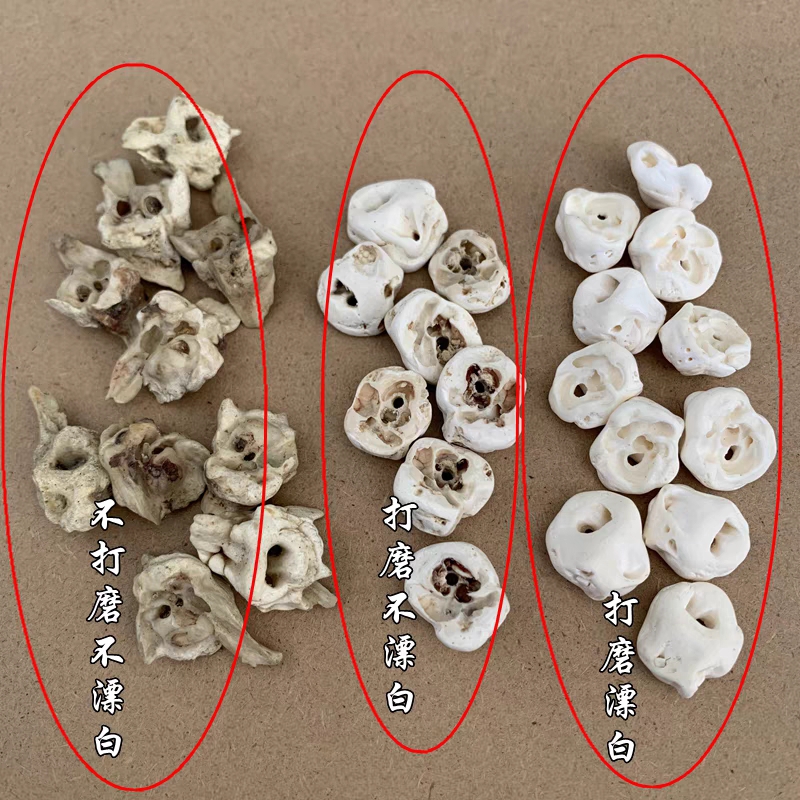 儿童饰品猪惊骨手链配黑狗牙婴儿新生宝宝打磨藏獒吊坠狼牙形猪精