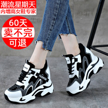 2025ŮЬ�¿�W�t�n�����¸����������e�\�Ӹߎ�Ů�ކ�Ь�ϵ�Ь