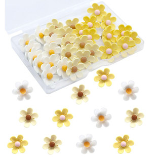 Cross-Border Three-Color Five-Petal Flower Thumbtacks Creative Message Board Photo Wall Decoration Thumbtacks Factory Direct Sales