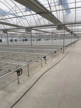 ���l�ӹ��Ƅ��紲�߲˴��������X�Ͻ��紲�W���Ҵ�������������