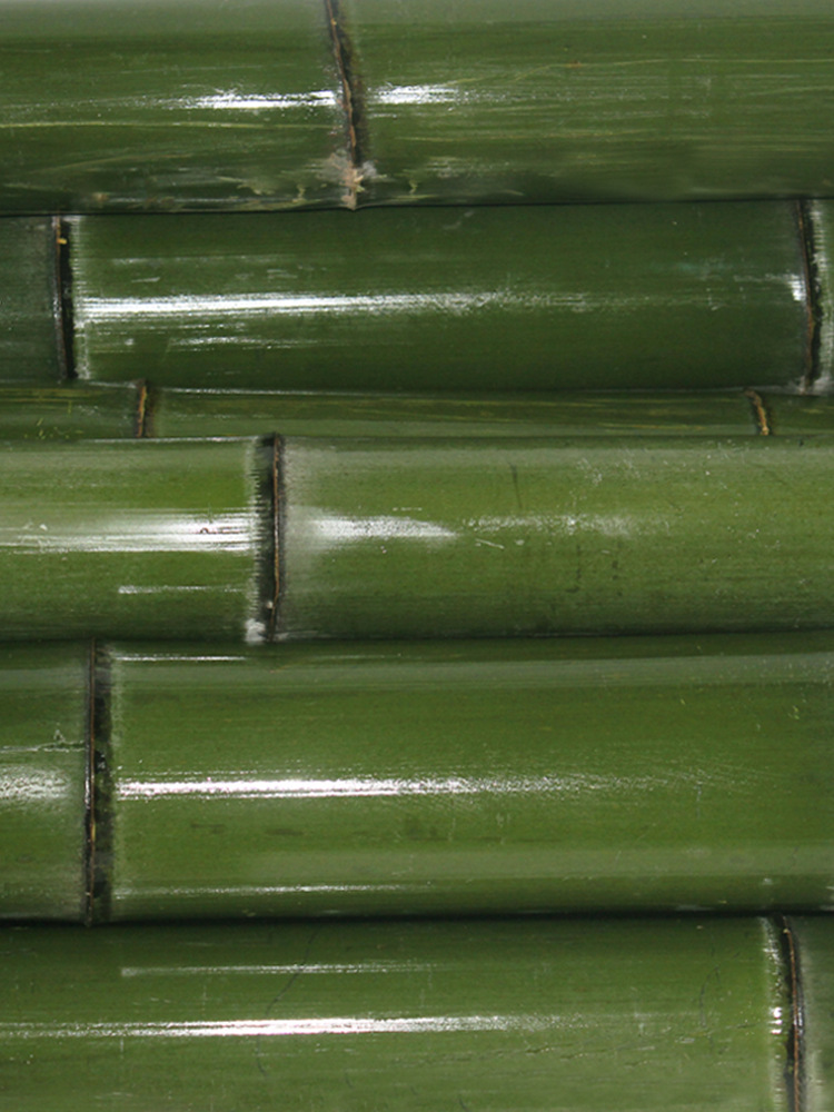 Wholesale 5ZV7 ornamental bamboo rods, Moso bamboo, culms, bamboo juice, bamboo weaving, bamboo buckets, steam-cooked rice for kindergartens, bamboo joints for handicrafts