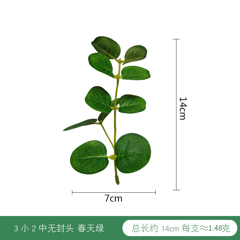 3小2中无封头春天绿